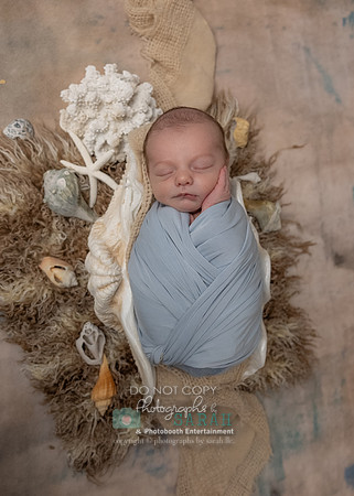 IMG_7352
