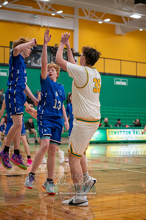 _SIM1031