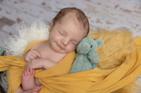 Hartzler-NEWBORN
